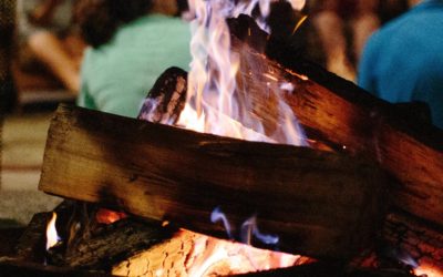 Amnicon Annual (Virtual) Campfire Conversation
