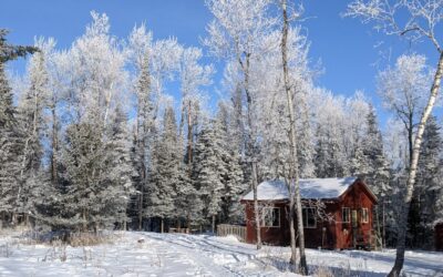 What’s It Really Like? Renting a Cabin at Amnicon