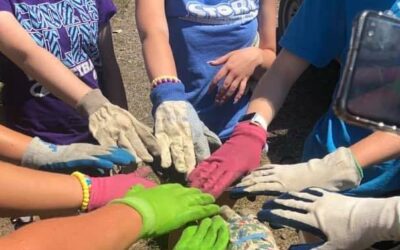 Service Learning Camps at Amnicon